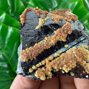 Amazing Sphalerite with Calcite from Trepca,Kosovo,Trepca Stari Trg Mine,Trepca complex,Mitrovica,N68