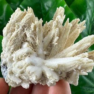 Rare Calcite from Krushev dol mine,Madan,Bulgaria,Inclusions,Mineral Specimen,Calcite Collector’s,N502