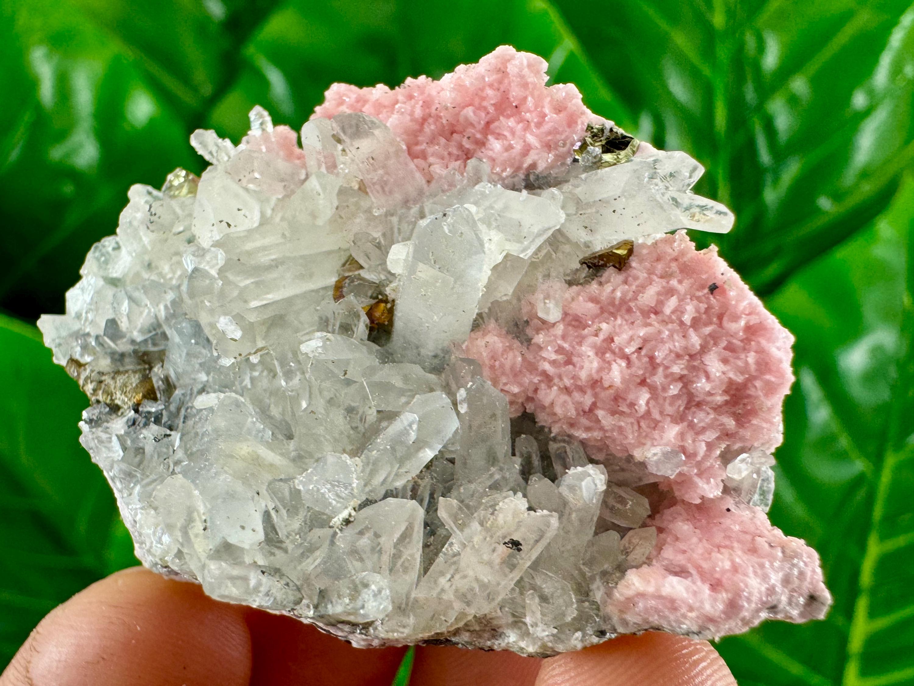 Pink Rhodochrosite Crystal With Quartz and Chalcopyrite - Bulgaria