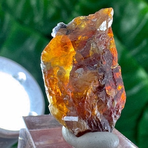 Peut inclure: Un spécimen minéral brut et translucide présentant un dégradé vibrant de teintes ambre profond, orange brûlé et jaune doré. Le cristal possède une surface dentelée et facettée avec des inclusions naturelles et des bords vifs, posé sur une base grise.