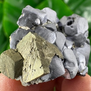 May include: A cluster of metallic minerals featuring a golden pyrite crystal and gray galena formations. The pyrite crystals have a cubic shape, while the galena appears in irregular, layered forms. The minerals are set against a blurred green background.