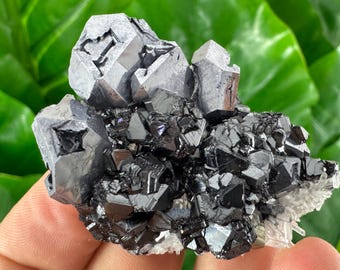 May include: A close-up of a mineral specimen featuring a cluster of dark gray, geometric crystals. The crystals have a metallic sheen and are set against a backdrop of green foliage. The mineral is a mix of dark gray and black.