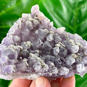 Rare Amethyst with Pyrite from Chala mine Bulgaria,Bulgarian Amethyst,Purple Quartz,Cluster,Specimen,Crystal,Chala mine,N507