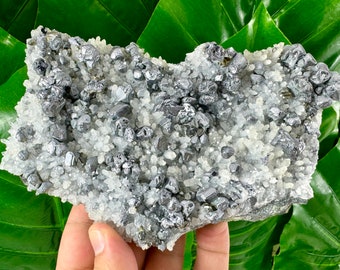 Large  Galena and Gem Sphalerite var Cleiophane on Quartz from Krushev dol mine,Madan,Bulgaria, Minerals,Specimens,Bulgarian Minerals,Galena