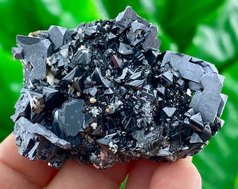 May include: A cluster of black, shiny, and faceted crystals on a grey matrix. The crystals are arranged in a random pattern and have a sharp, geometric shape.