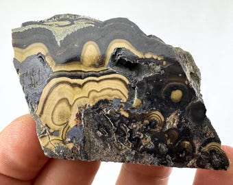 May include: A natural stone specimen with a unique pattern. The rock features layers of dark gray, black, and tan colors, creating a swirling, banded appearance. The stone has a rough, textured surface and a natural, irregular shape.