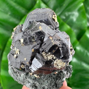 May include: A close-up of a dark, lustrous mineral specimen with a complex, crystalline structure. The mineral is primarily black with small, golden-colored flecks. The base is a dark gray color, and the background is a blurred green.