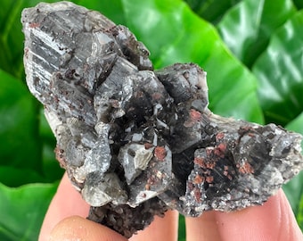 Very nice Cerussite from Republic of Congo ,Specimen,Cluster, Crystals,Cerussite Crystal,Cerussite Congo,Cerussite Mineral,Specimen,N505