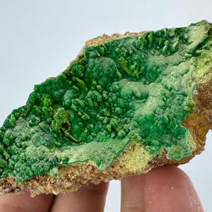 May include: A raw mineral specimen featuring a vibrant green, crystalline surface with a textured, bumpy formation. The green mineral layer sits atop a rough, tan-colored rocky base, showcasing natural geological formations and varied shades of green.