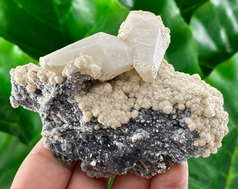 Rare fluorescent Calcite covered with second generation Calcite on Chalcedony from Djurkovo mine,Laki,Bulgaria,