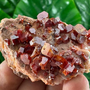 Amazing Vanadinite from Morocco,Crystal, Mineral,Specimen,Cluster,Vanadinite Crystal,Vanadinite,Geology,Vanadinite,Red,Home Decor, N58