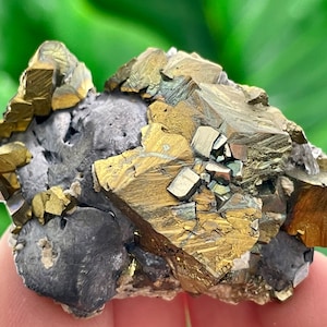 Aesthetic Very rare Chalcopyrite,Pyrite and Galena from Krushev dol mine,Madan,Bulgaria,Mineral,Crystal,Specimen,Natural Crystal,