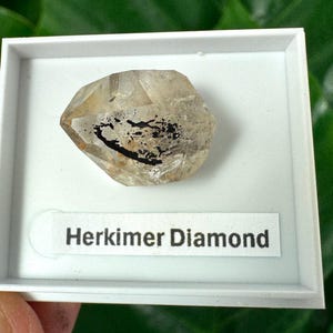 Könnte beinhalten: Ein klarer, facettierter Herkimer-Diamantkristall mit sichtbaren dunklen Einschlüssen im Inneren, präsentiert in einem quadratischen weißen Kunststoffbehälter. Ein weißes Etikett mit dem schwarzen Text "Herkimer Diamond" ist am Boden befestigt.
