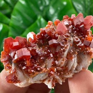 Amazing Vanadinite from Morocco,Crystal, Mineral,Specimen,Cluster,Vanadinite Crystal,Vanadinite,Geology,Vanadinite,Red,Home Decor, N58