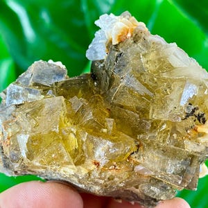 Yellow Fluorite with Calcite from Moscona Mine,Spain,Mineral Specimen,Yellow Fluorite,Fluorite from Spain,Collection,Big Fluorite,