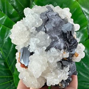 INCREDIBLE Large Galena with Sphalerite, Calite,Rhodochrosite from Trepca,Kosovo,Trepca Stari Trg Mine,Trepca complex,Mitrovica,N553