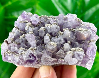 ブルガリア、チャラ鉱山産の希少な黄鉄鉱入りアメジスト、ブルガリア産