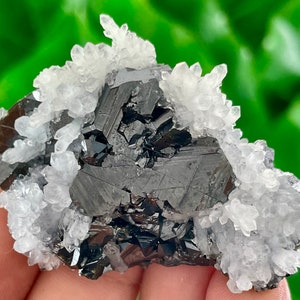 May include: A cluster of black, metallic, and shiny crystals surrounded by a bed of white, translucent quartz crystals.