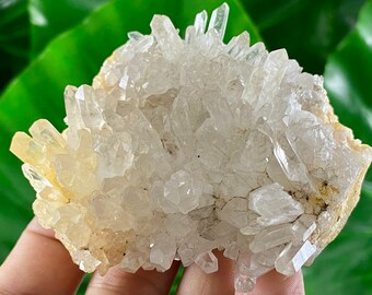 Bulgarian Quartz Cluster, Madan, Transparent Crystal, Home Decor