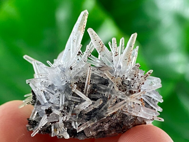 Specimen,Cluster,Natural Crystal,home decor,office decor,Collection,Stone Transparent Quartz Cluster from 9th September mine,Madan,Bulgaria