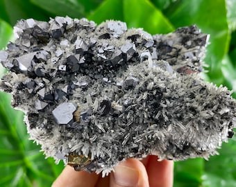 Mirror Galena with Pyrite,Sphalerite and Quartz from Krushev dol mine,Madan,Bulgaria, Minerals,Specimens,Crystals, Bulgarian Minerals,Galena