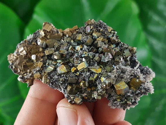 ブルガリア産 パイライト 黄鉄鉱 鉱物標本 ブルガリア産の希少な 100