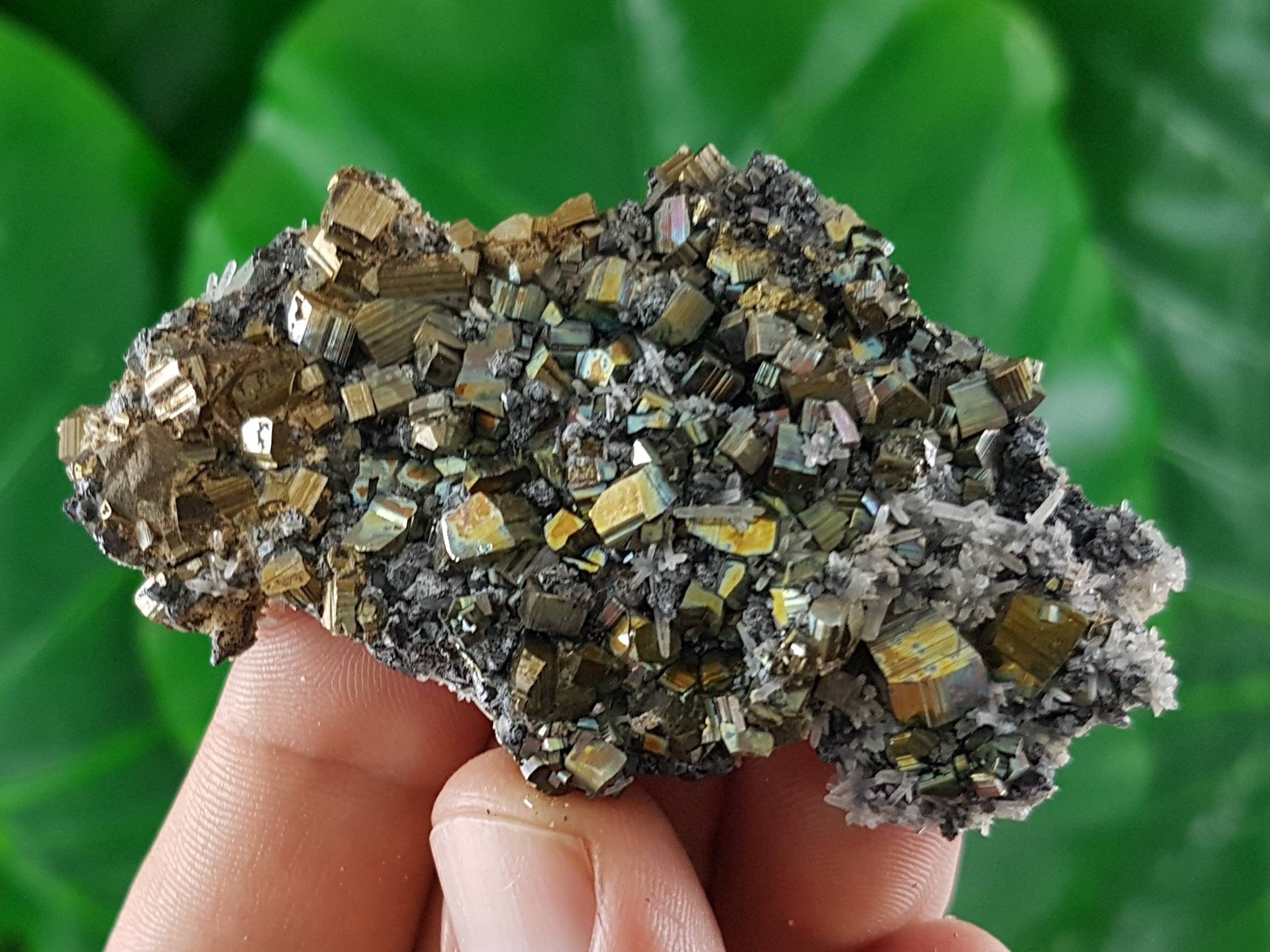 ブルガリア産の希少な 100% 天然の虹色黄鉄鉱とクォーツ、虹色黄鉄鉱