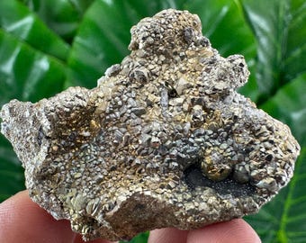 Very nice Pyrite from Androvo mine,Zlatograd,Bulgaria,Natural Mineral,Specimen,Cluster,Crystal,stone,Cluster,Baryte,Bulgarian,N76