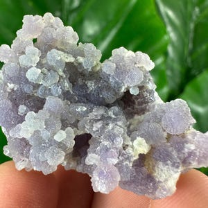 May include: A cluster of botryoidal chalcedony, a type of quartz, in shades of lavender and white. The surface has a bubbly, grape-like texture. The mineral specimen is set against a green background.