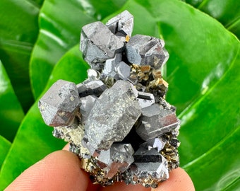 Galena con pirita de la mina Borieva, Madan, Bulgaria, Mineral natural, Espécimen, Racimo, Cristal, Piedra, Piedra preciosa, Gema