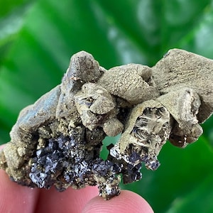 Amazing Chalcopyrite with Sphalerite from 9th September mine Madan,Bulgaria,Mineral, Crystal,Fool’s gold,Collection,CollectorsN19