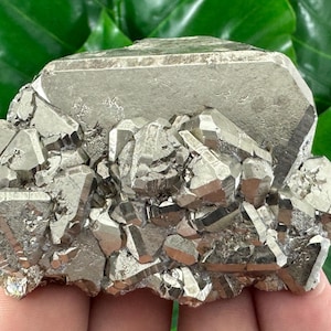 Aesthetic Octahedral Pyrite from Peru,Natural Mineral,Specimen,Cluster,Crystal,stone,Gemstone,Iron Pyrite,GoldenN560