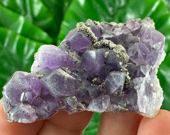 有名なチャラ鉱山産の希少な黄鉄鉱入りアメジスト、ブルガリア産
