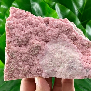 Rhodochrosite rare avec stilbite du minerai de Davidkovo déposé, Bulgarie, cristal rose, cristal de rhodochrosite, collection,