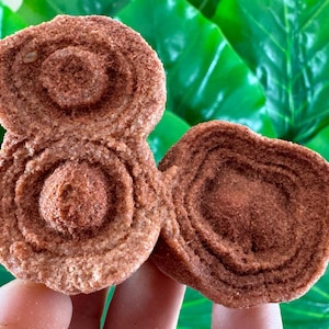Large Stromatolite from Morocco,Fossil Specimen,Raw Stromatolite Fossil,rough fossilized algae for grounding and meditation,Moroccan Fossil,