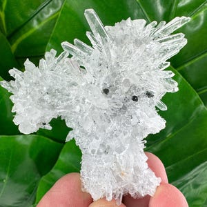 Transparent Quartz from Borieva mine,Madan,Bulgaria,,Mineral,Specimen,Calcite Collector’s,minerals,N522