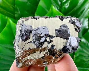 INCREÍBLE Pirita y Galena de la mina Borieva, Madan, Bulgaria, Mineral Natural, Espécimen, Racimo, Cristal, Piedra, Piedra Preciosa, Gema