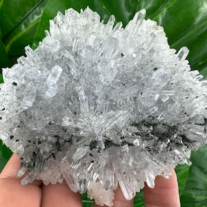 Transparent Quartz,Chlorite from Borieva mine,Madan,Bulgaria,,Mineral,Specimen,Calcite Collector’s,minerals,N522