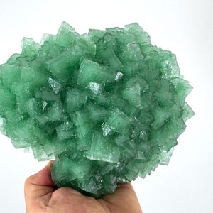 Large rare Green Halite from Lubin mine,Poland,Green Halite Crystal,Green Halite mineral,Green Halite Collection,Hallite Poland,N1