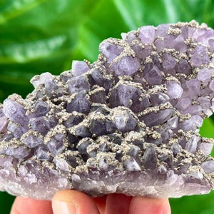 Rare Amethyst with Pyrite from Chala mine Bulgaria,Bulgarian Amethyst,Purple Quartz,Cluster,Specimen,Crystal,Chala mine,N507