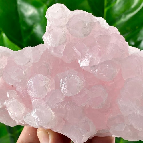 Store INCREDIBLE Strong Fluorescent Mangano Calcite from Androvo mine,Erma Reka,Zlatograd,Bulgaria,Pink Calcite,UV Reactive,Fluorescent Crystal,