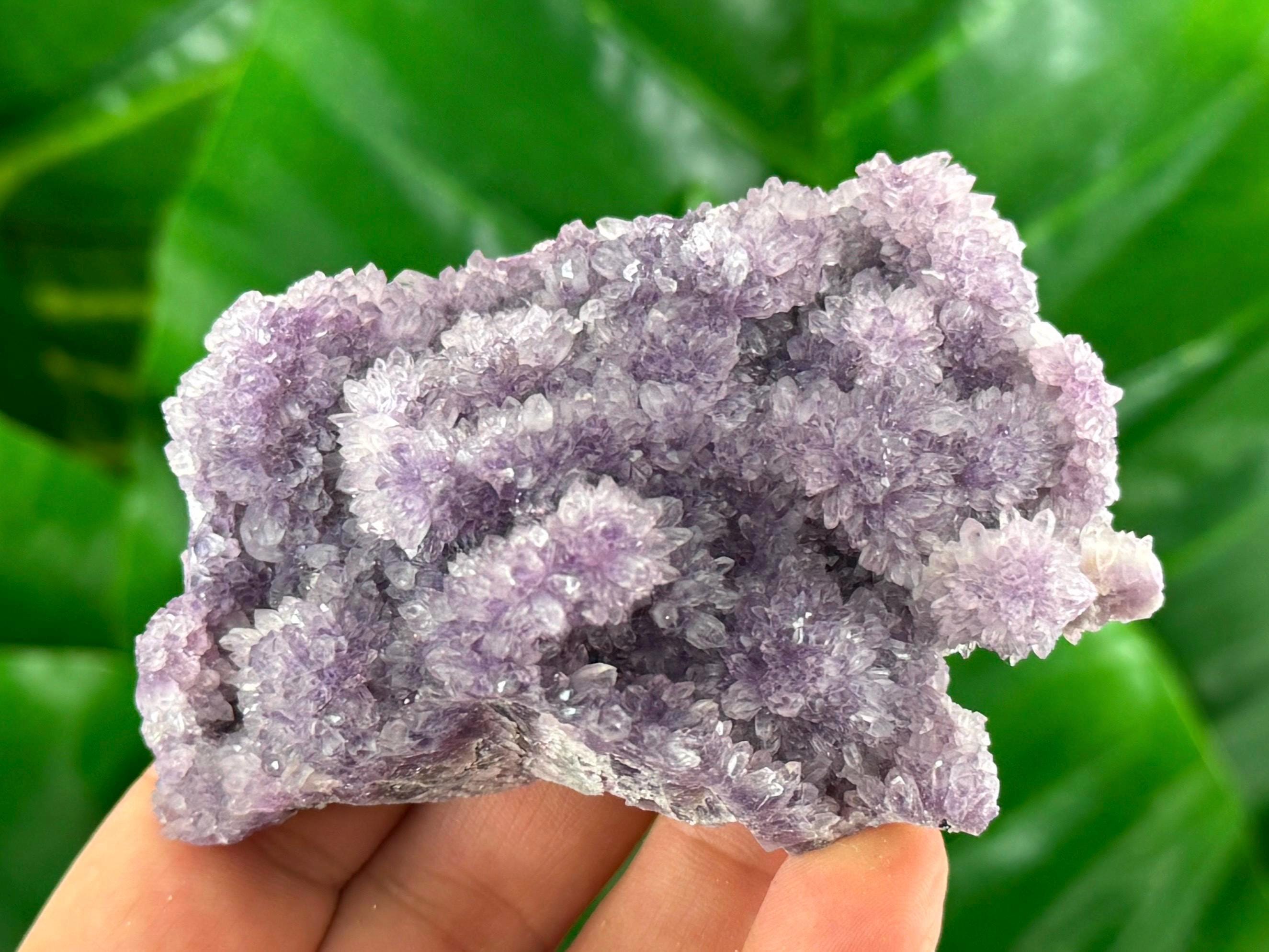 Rare Amethyst from Chala mine Bulgaria,Bulgarian Amethyst,Purple Quartz,Cluster,Specimen,Crystal,Chala mine N518