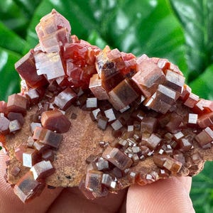 Amazing Vanadinite from Morocco,Crystal, Mineral,Specimen,Cluster,Vanadinite Crystal,Vanadinite,Geology,Vanadinite,Red,Home Decor, N58