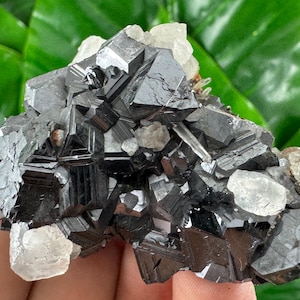Geweldig sfaleriet met calciet uit Trepca, Kosovo, Trepca Stari Trg-mijn, Trepca-complex, Mitrovica, N67