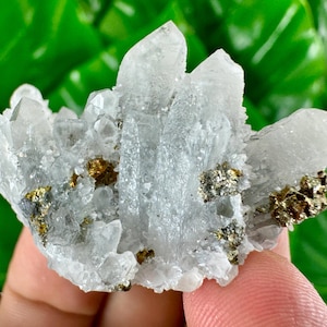 Beautiful Quartz  with Chalcopyrite from Krushev Dol mine,Madan,Bulgaria,Mineral Specimen,Home Decor,Golden Crystal,Chalcopyrite,