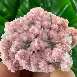 Amazing Rhodochrosite with Quartz,Stilbite and Chalcopyrite from Davidkovo ore Filed,Bulgaria,Pink Crystal,Rodochrosite Crystal,Stone N43