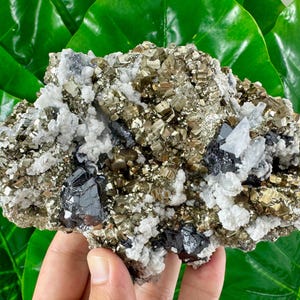 Aesthetic Pyrite with Sphalerite,Dolomite and Calcite from Trepca,Kosovo,Trepca Stari Trg Mine,Trepca complex,Mitrovica,N561
