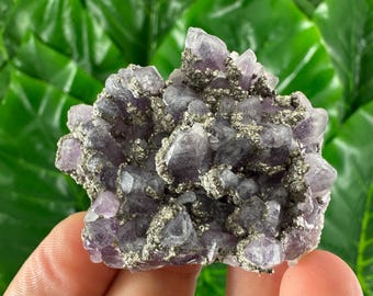 有名なチャラ鉱山産の希少な黄鉄鉱入りアメジスト、ブルガリア産