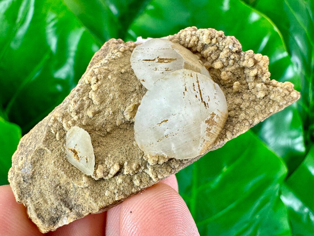 Rarest Calcite Rare Calcite From 9th September Mine,madan,bulgaria,inclusions,mineral ...
