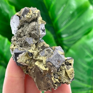 Chalcopyrite with Galena from Krushev Dol mine,Madan,Bulgaria,Home Decor,Energy Crystal, Calcite, Crystal,